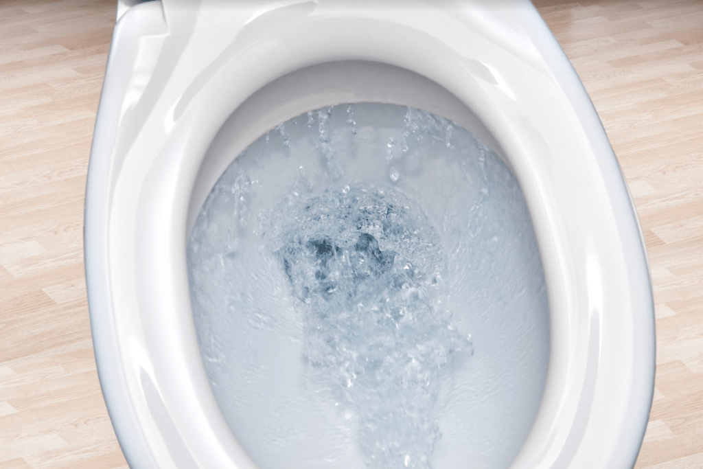 Toilet flushing